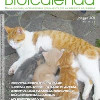 maggio 2011.jpg